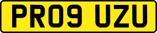 PR09UZU