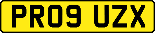 PR09UZX