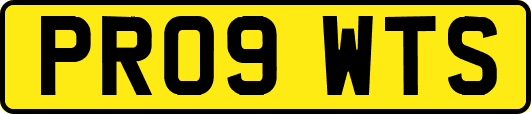 PR09WTS