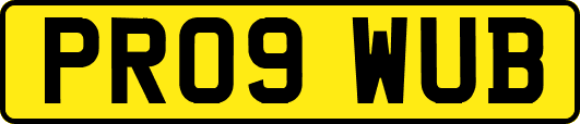 PR09WUB