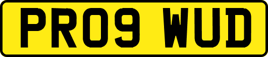 PR09WUD