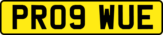 PR09WUE