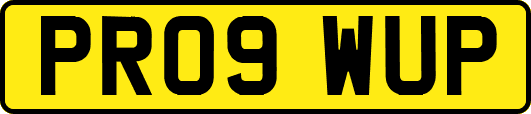 PR09WUP