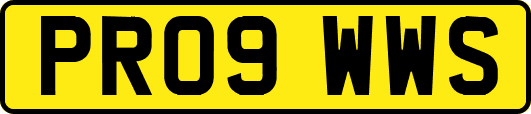 PR09WWS