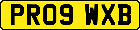 PR09WXB