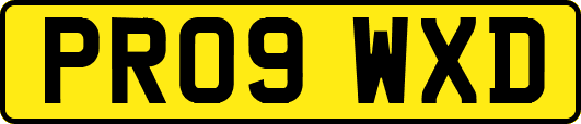 PR09WXD