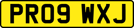 PR09WXJ