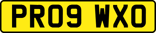 PR09WXO
