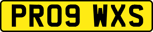 PR09WXS