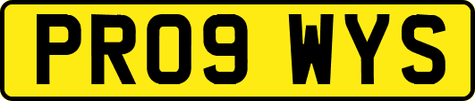 PR09WYS