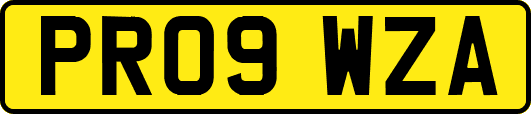 PR09WZA