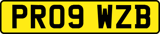 PR09WZB