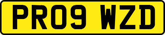 PR09WZD