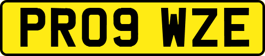 PR09WZE