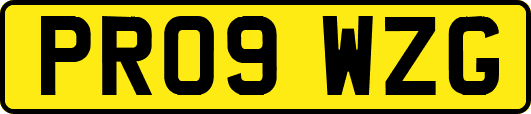 PR09WZG