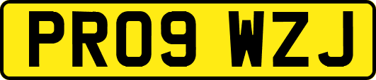PR09WZJ