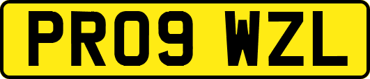 PR09WZL