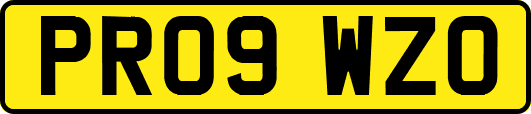 PR09WZO