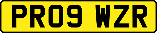PR09WZR