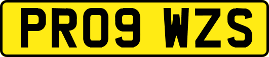 PR09WZS