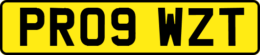 PR09WZT