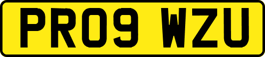 PR09WZU