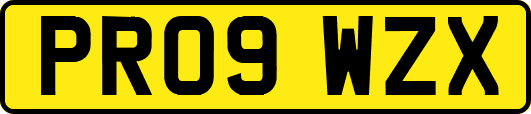 PR09WZX
