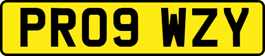 PR09WZY