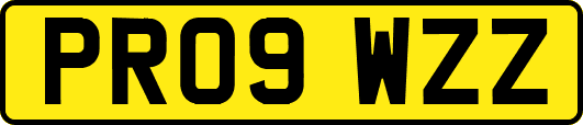 PR09WZZ