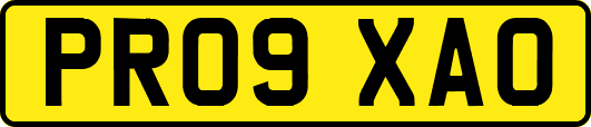 PR09XAO