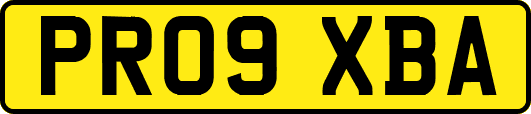PR09XBA