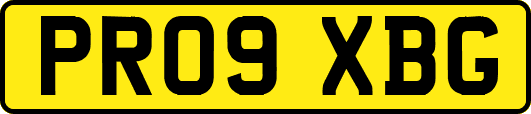 PR09XBG