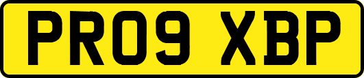 PR09XBP