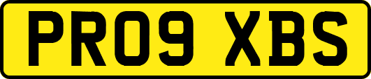 PR09XBS