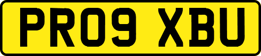 PR09XBU