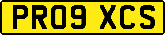 PR09XCS