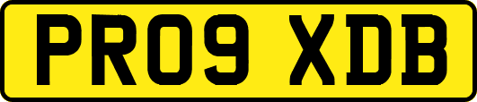 PR09XDB