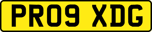 PR09XDG