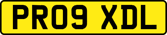 PR09XDL
