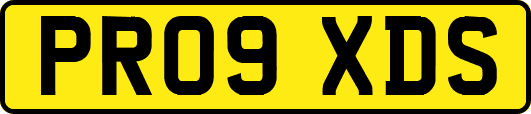PR09XDS