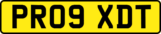 PR09XDT
