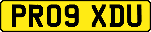 PR09XDU