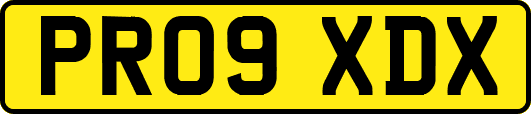 PR09XDX
