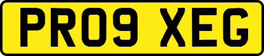 PR09XEG