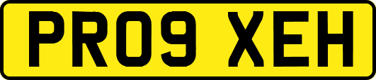 PR09XEH