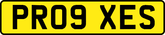PR09XES
