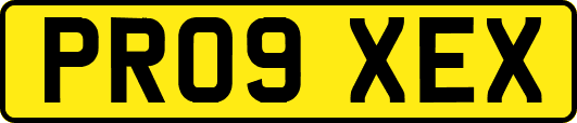 PR09XEX