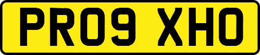 PR09XHO