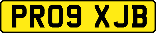 PR09XJB