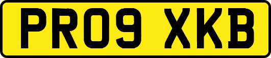 PR09XKB